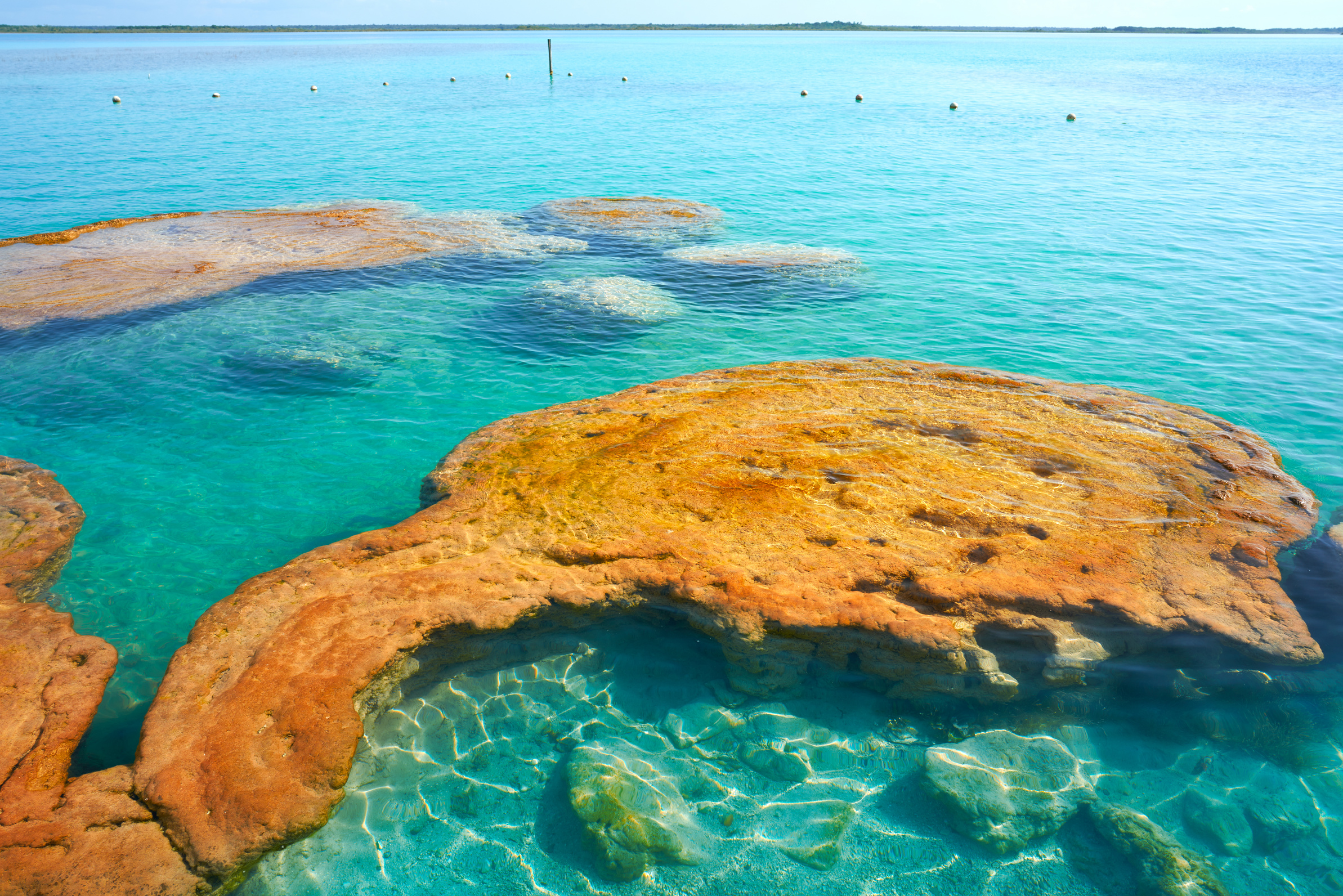 Stromatolites in Bacalar Lagoon of Mexico